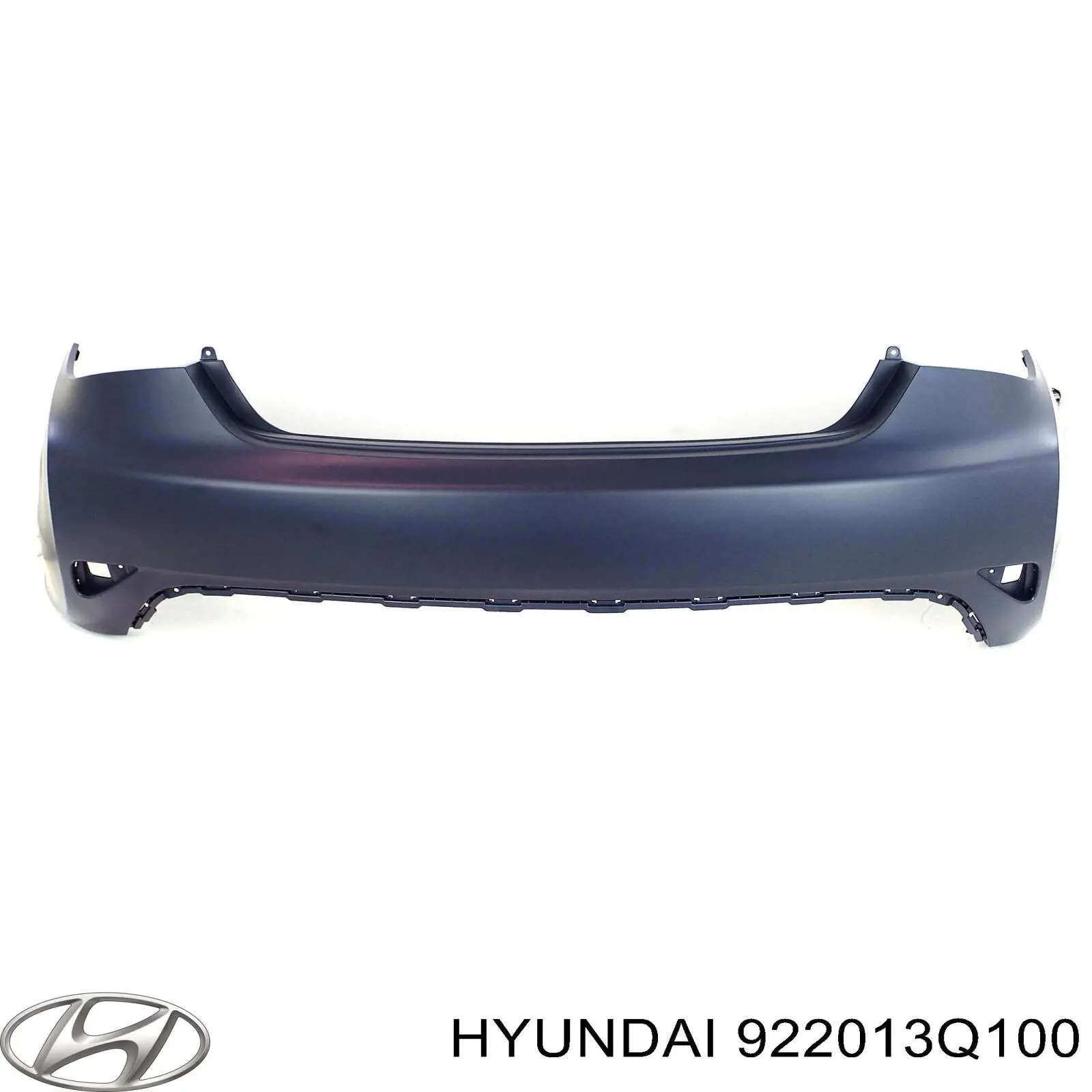  922013Q100 Hyundai/Kia