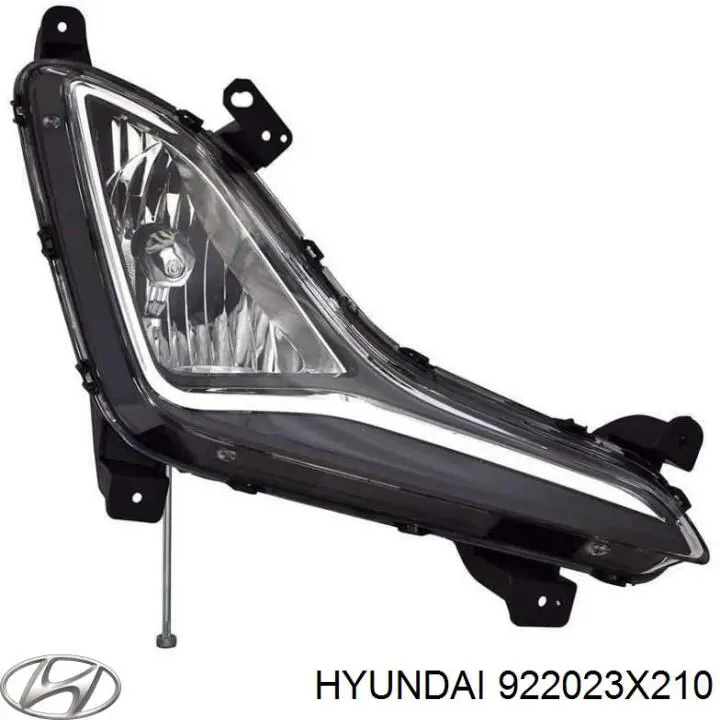 922023X210 Hyundai/Kia фара противотуманная правая