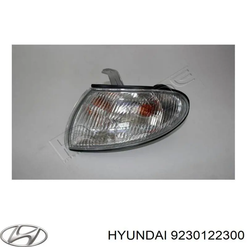 Купить 9230122300 Hyundai/Kia Указатели поворота (передние)