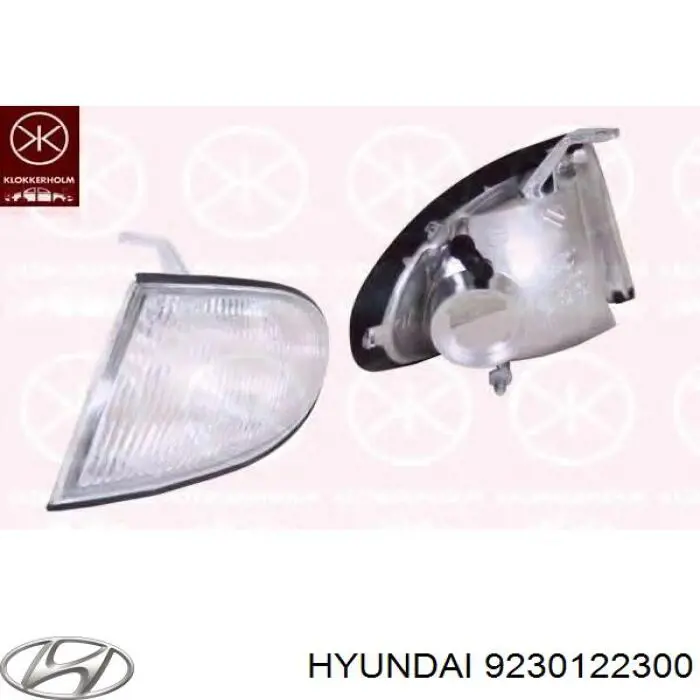 Правый указатель поворота Hyundai/Kia 9230122300 цена, от 10.20 USD