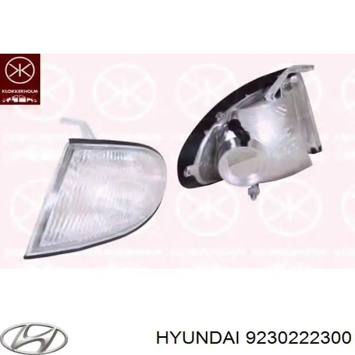 9230222300 Hyundai/Kia Передний фонарь указателя поворота
