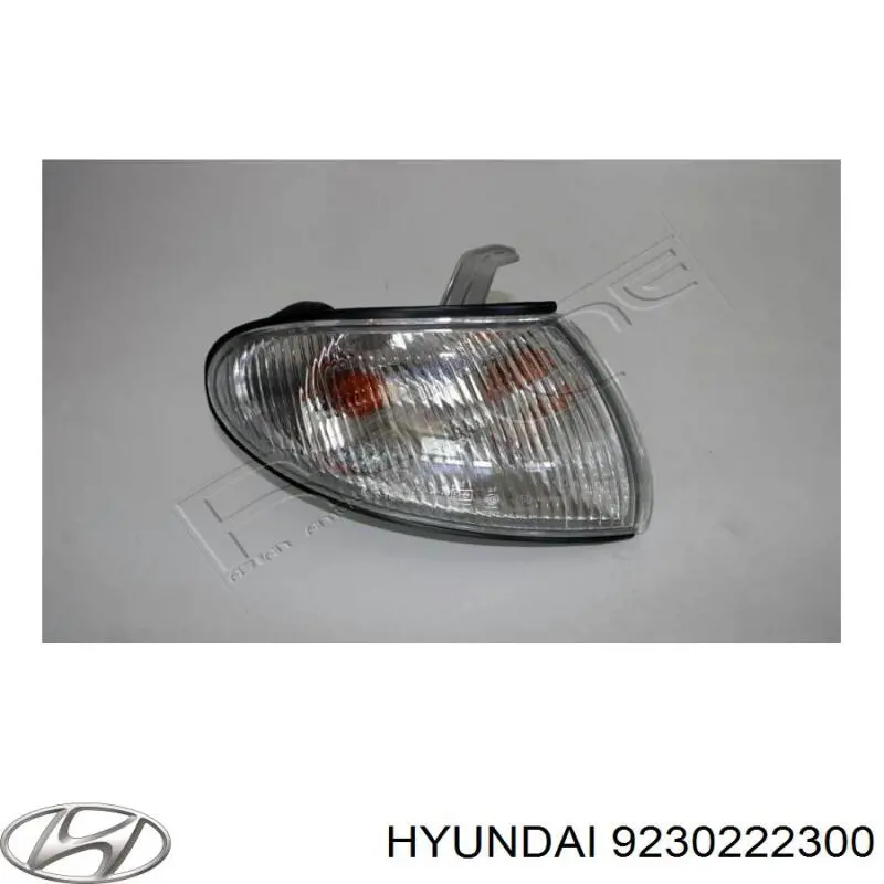 Левый указатель поворота Hyundai/Kia 9230222300 цена, от 10.60 USD