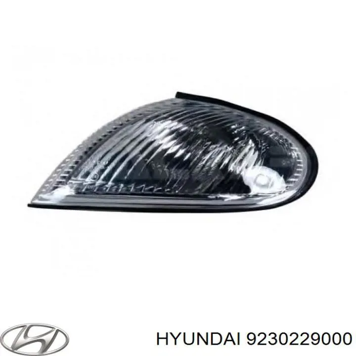 9230229000 Hyundai/Kia указатель поворота правый