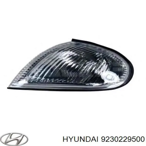 Купить 9230229500 Hyundai/Kia Указатели поворота (передние)