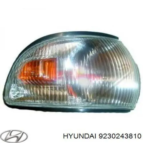 Правый указатель поворота Depo/Loro/Abakus 3206K2E цена, от 15.60 USD