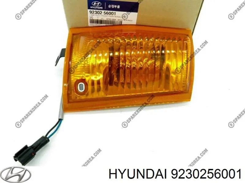 9230256001 Hyundai/Kia Повторитель поворота на крыле правый
