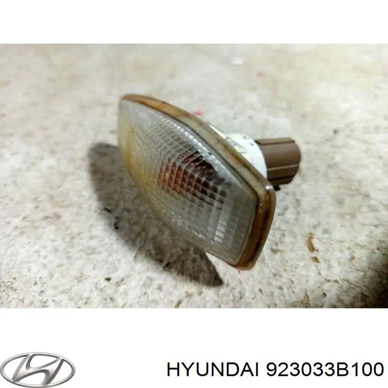 Повторитель поворота в крыло Hyundai/Kia 923033B100 цена, от 4.63 USD