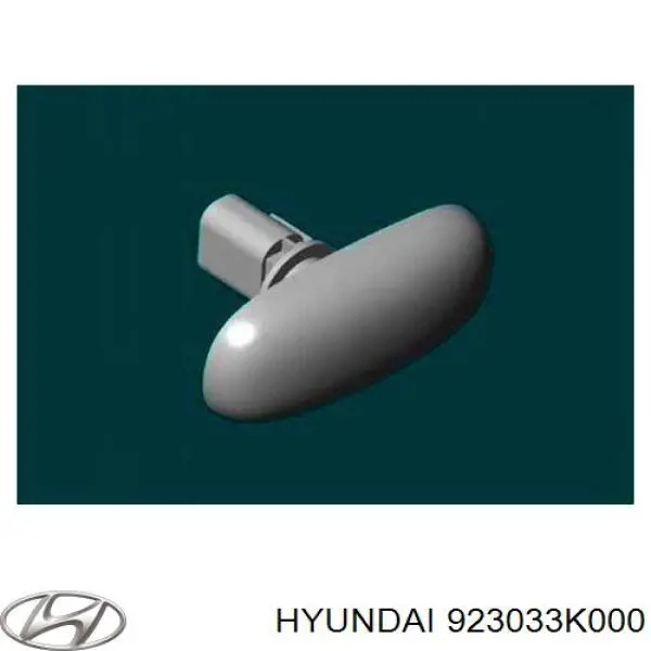 Повторитель поворота на крыле на Hyundai Sonata NF