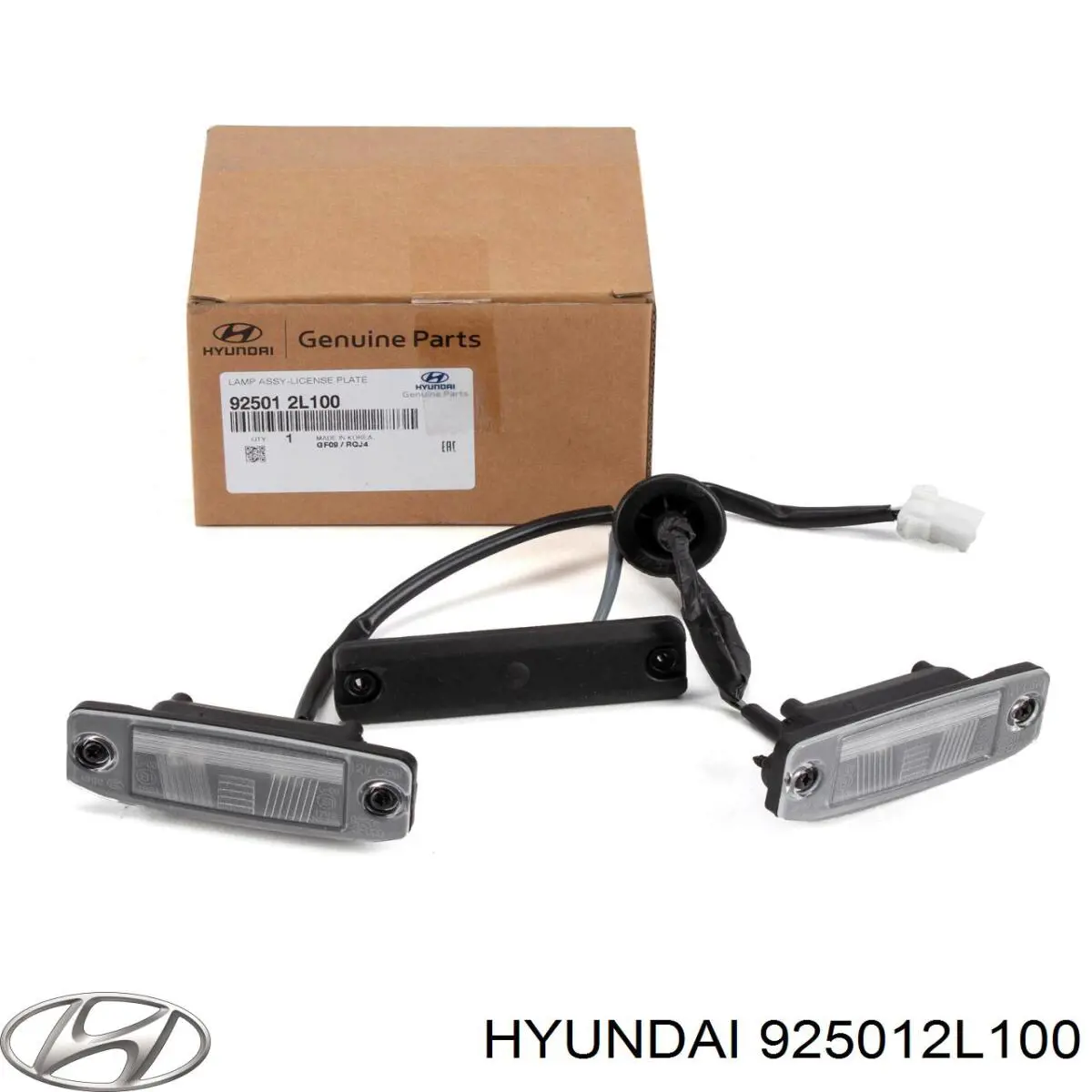 925012L100 Hyundai/Kia lanterna da luz de fundo de matrícula traseira