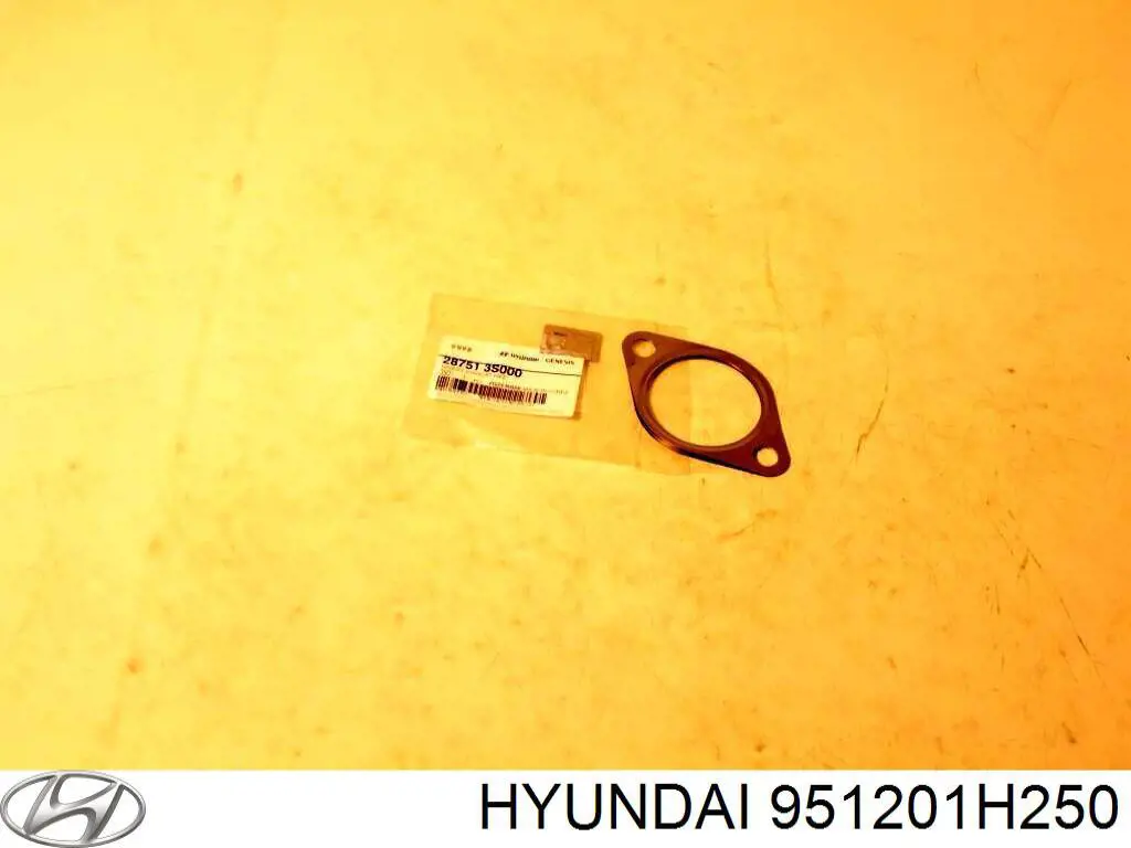 951201H250 Hyundai/Kia 