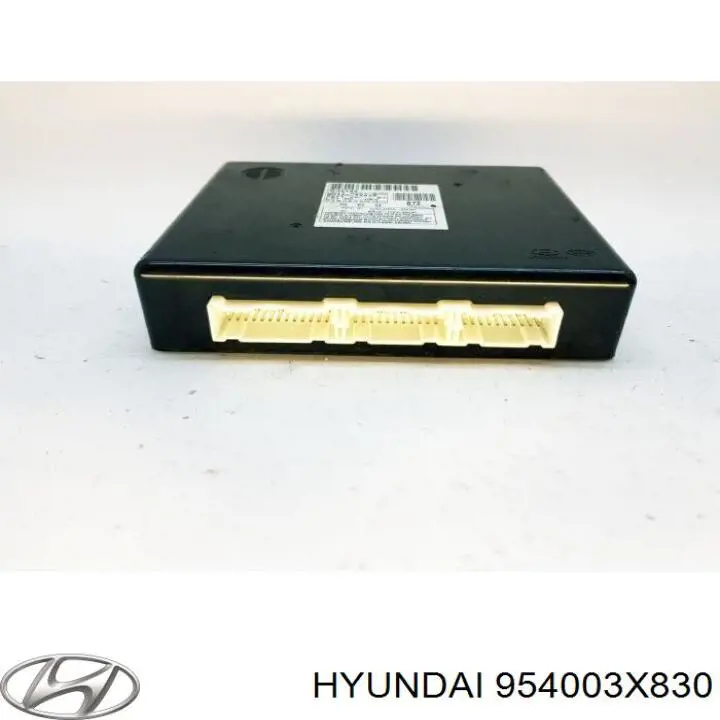 954003X830 Hyundai/Kia 