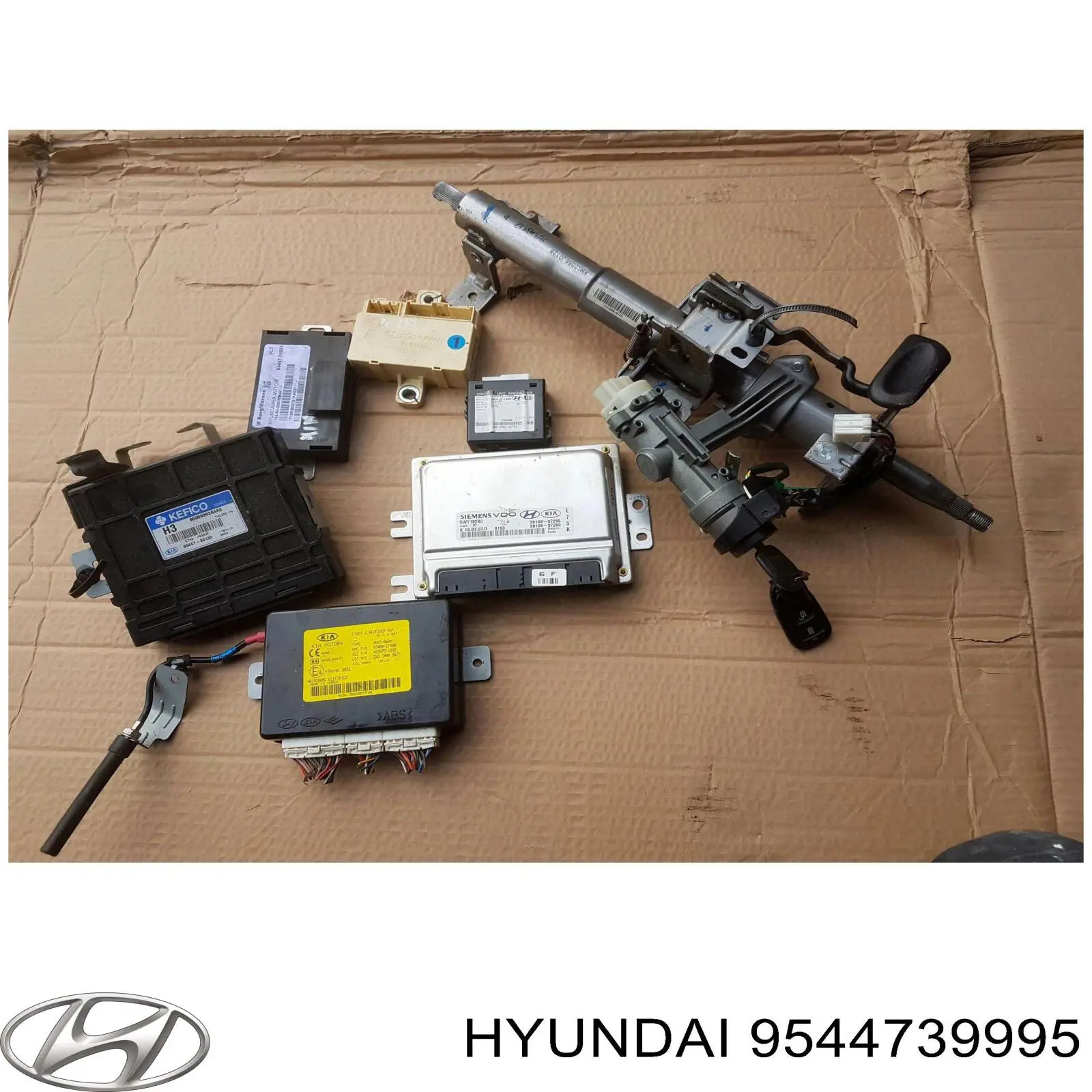  9544739995 Hyundai/Kia