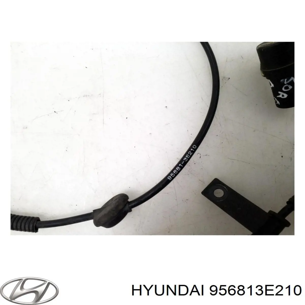 Купить 956813E210 Hyundai/Kia Датчик АБС задний правый