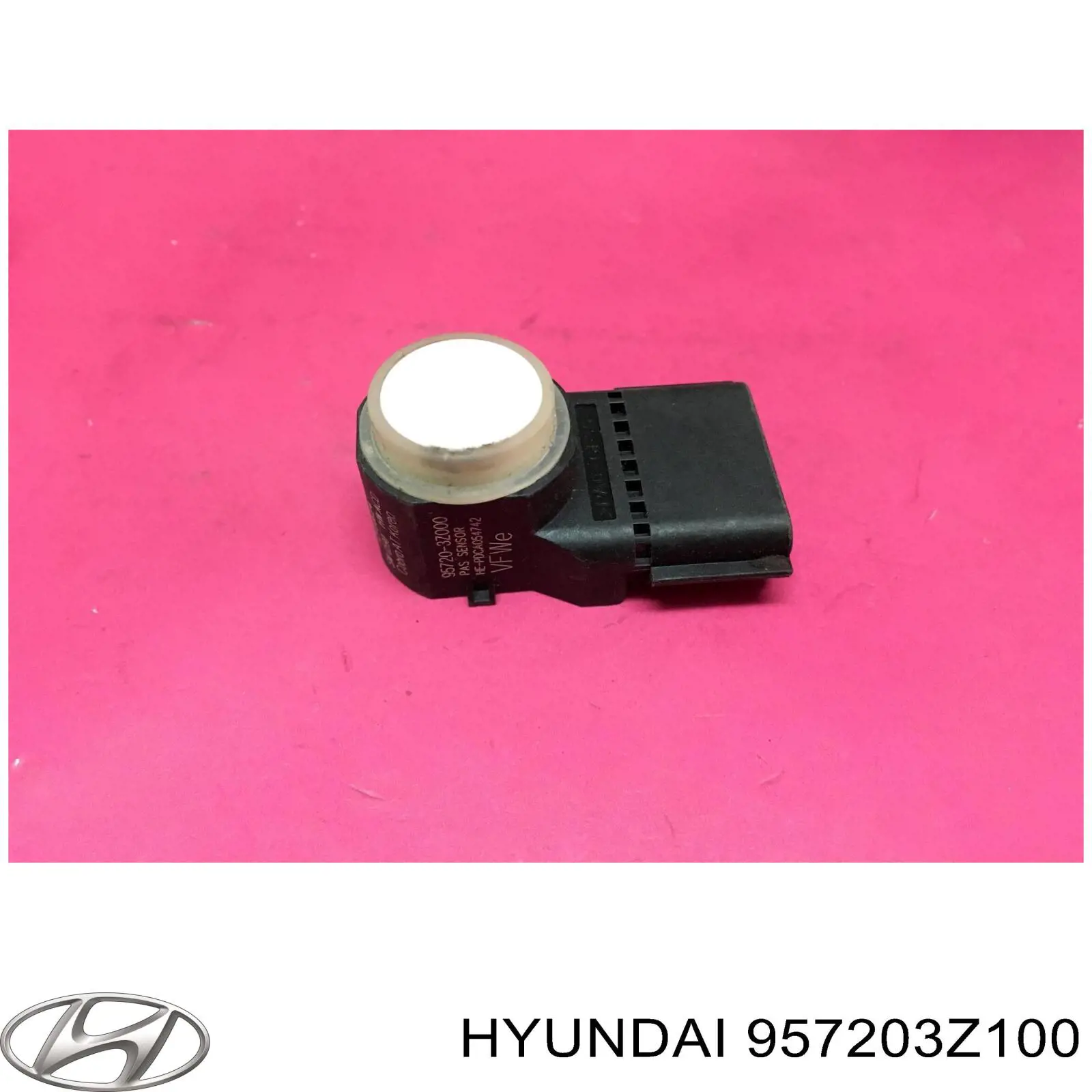 957203Z100 Hyundai/Kia 