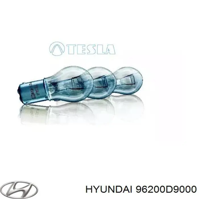 96200D9000 Hyundai/Kia Антенна на крышу
