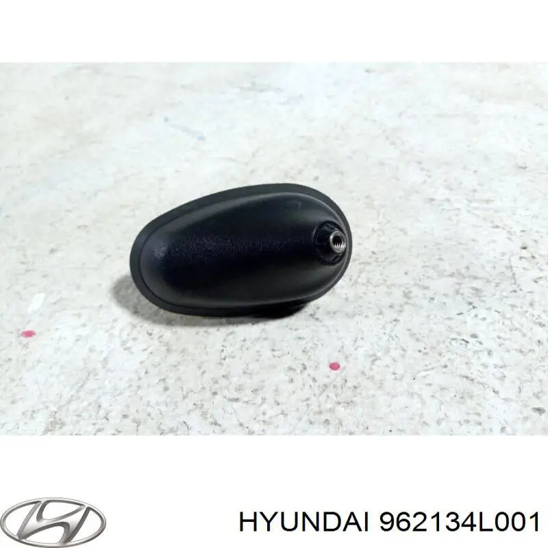 962134L001 Hyundai/Kia 