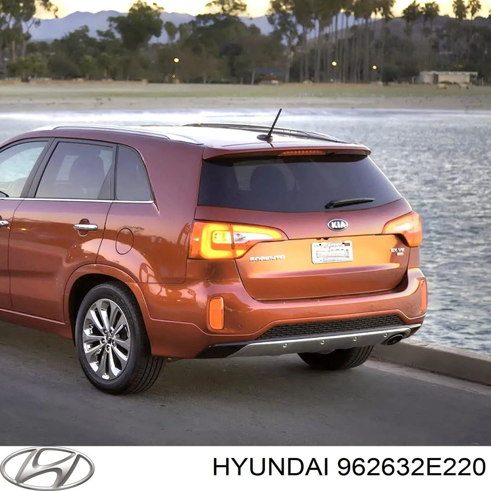 962631G000 Hyundai/Kia Шток антенны