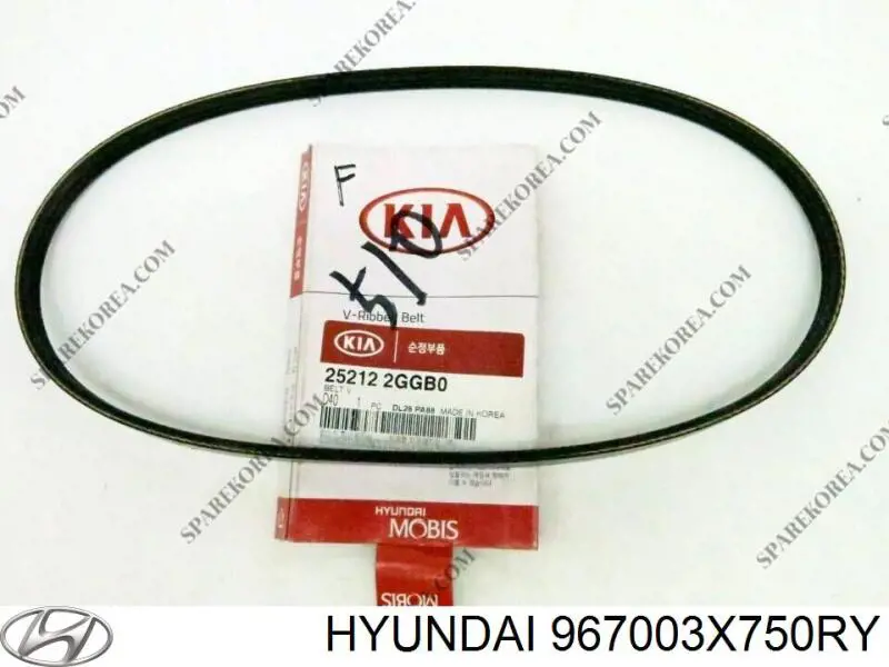  Hyundai/Kia 967003X750RY