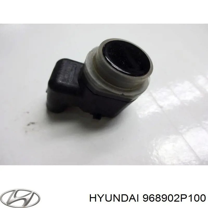 968902P100 Hyundai/Kia 