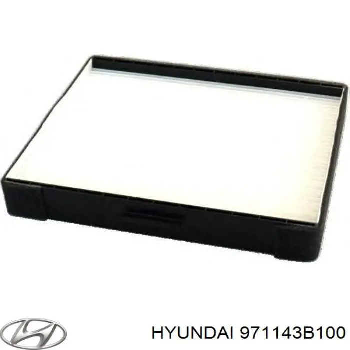 971143B100 Hyundai/Kia