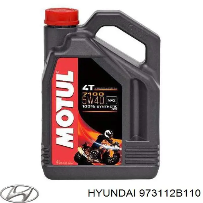 973112B110 Hyundai/Kia 