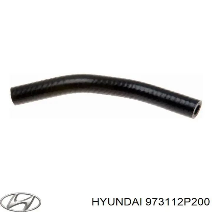 973112P200 Hyundai/Kia 