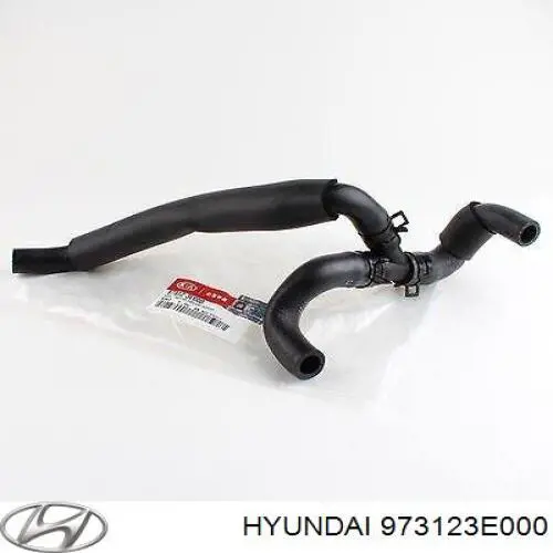 973123E000 Hyundai/Kia 