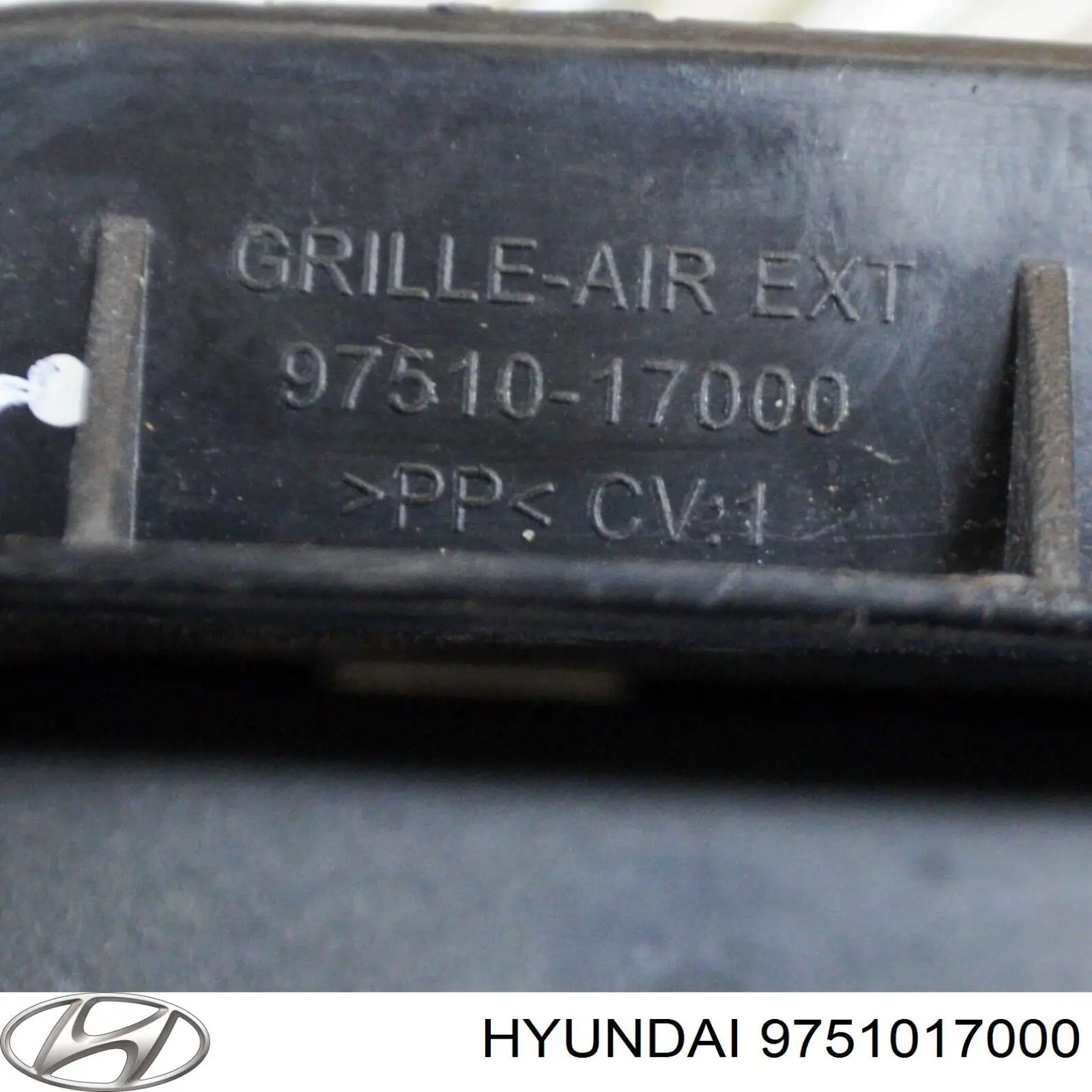 9751017000 Hyundai/Kia решетка вентиляции салона задняя левая