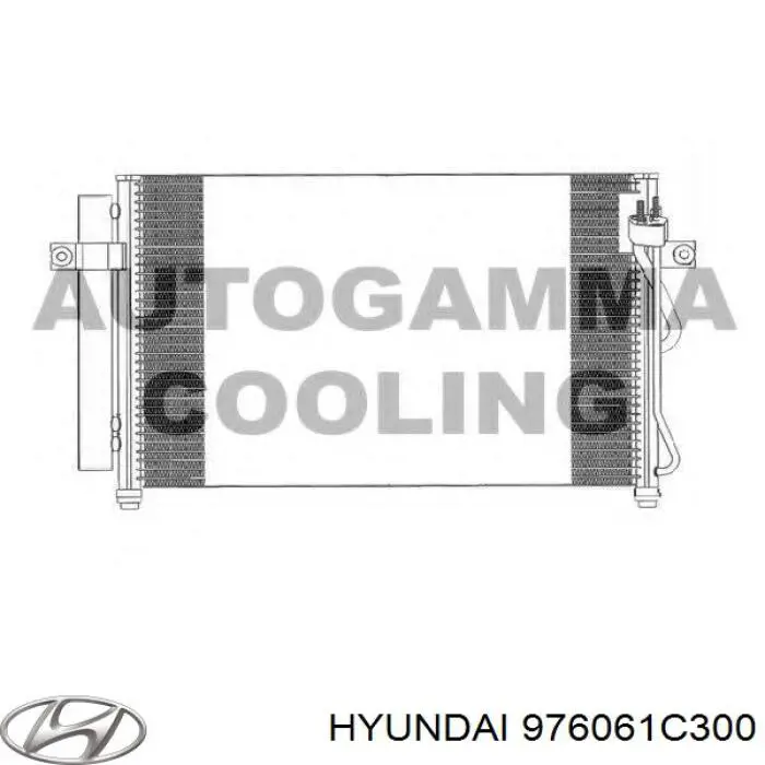 Конденсатор кондиционера Hyundai/Kia 976061C300 цена, от 65.81 USD