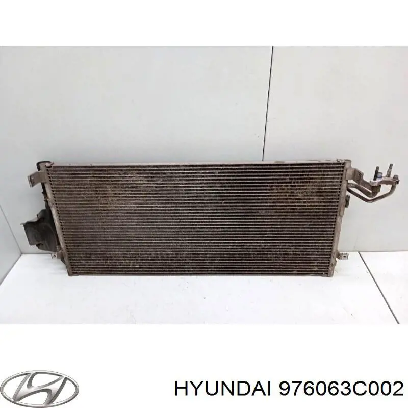  976063C002 Hyundai/Kia