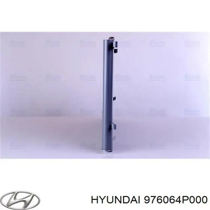 976064P000 Hyundai/Kia 