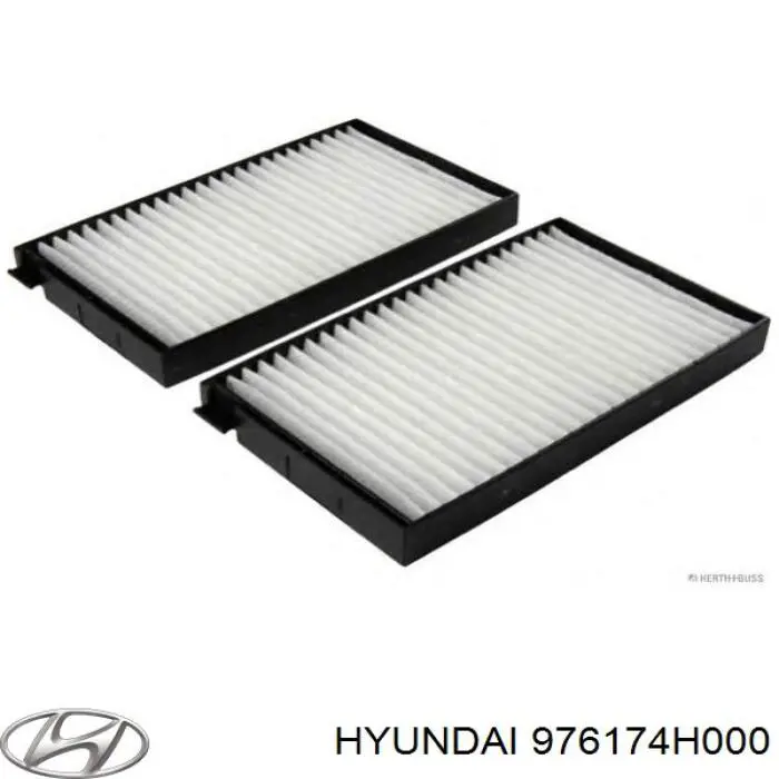 976174H000 Hyundai/Kia Внутрисалонный фильтр