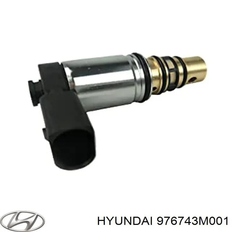 976743M001 Hyundai/Kia