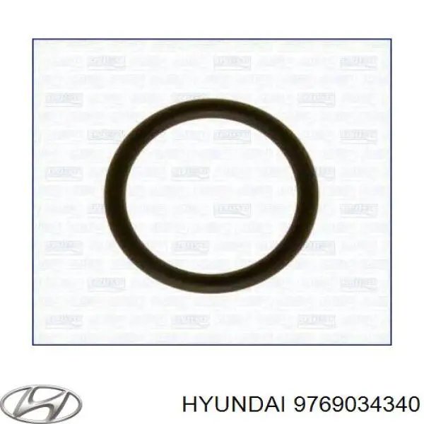 Кільце ущільнююче шланга компресора, зворотного 9769034340 Hyundai/Kia