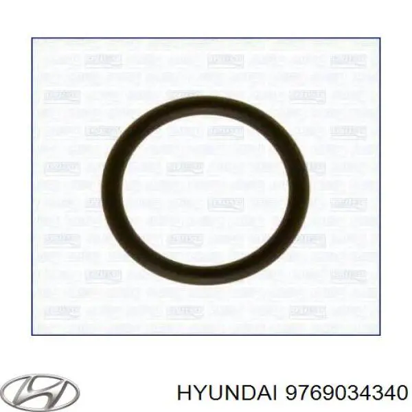 Кольцо уплотнительное шланга компрессора обратного 9769034340 Hyundai/Kia