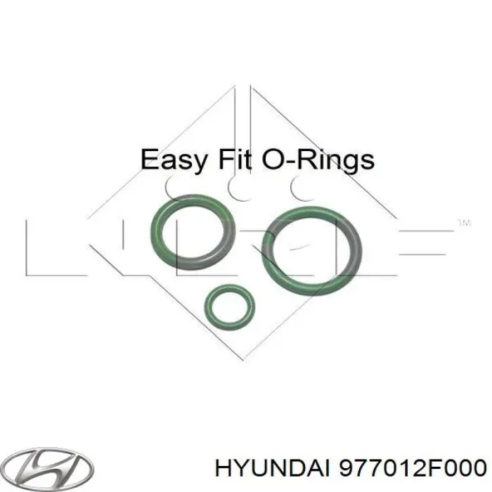 Компрессор кондиционера 977012F000 Hyundai/Kia