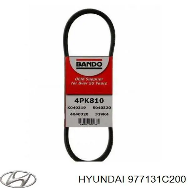 Correa trapezoidal 977131C200 Hyundai/Kia