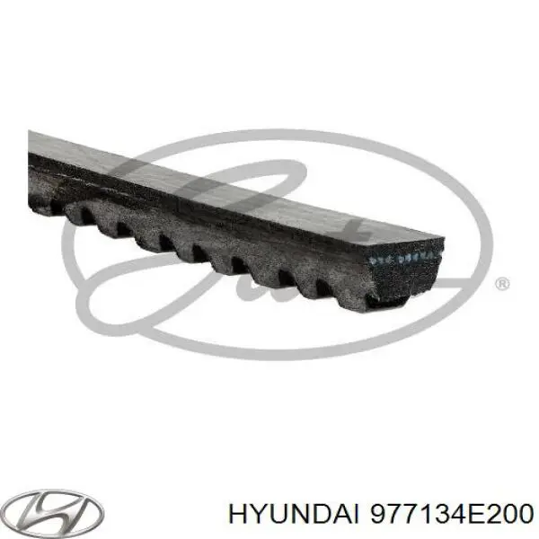 Купить 977134E200 Hyundai/Kia Ремень генератора