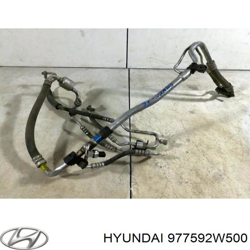 977592W500 Hyundai/Kia 