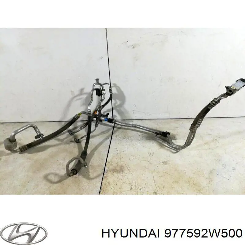 977592W500 Hyundai/Kia 