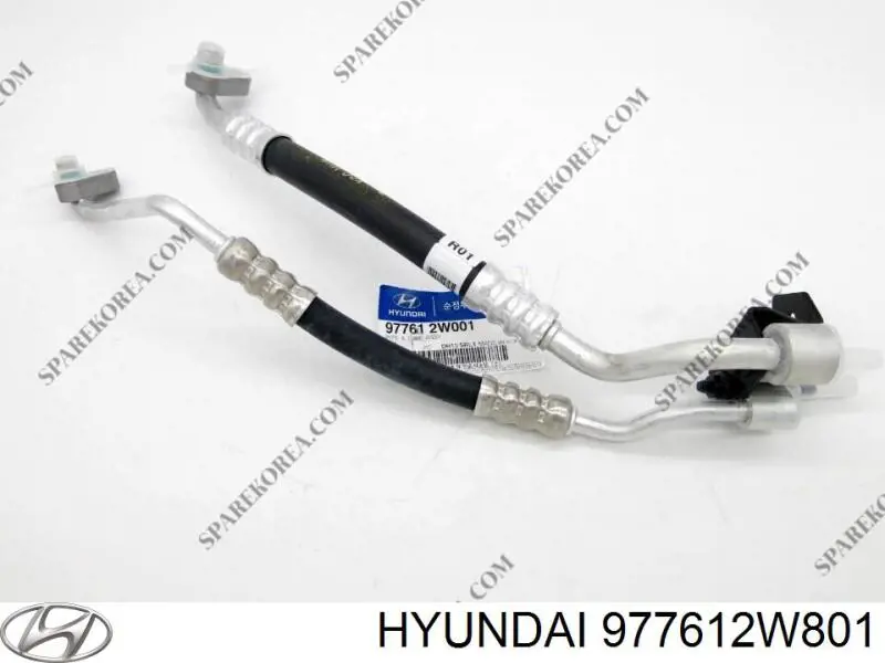 977612W801 Hyundai/Kia 