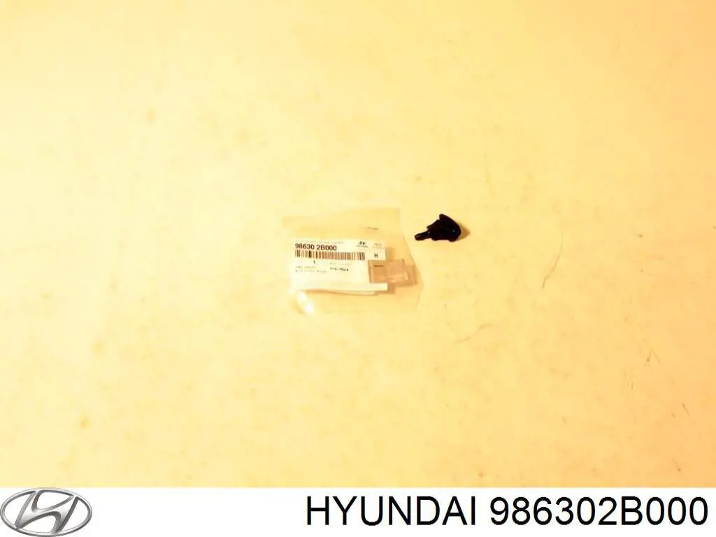 Форсунка омывателя стекла лобового левая на Hyundai Santa Fe II 
