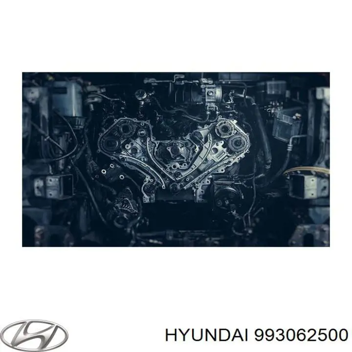 Купить 1573325000 Hyundai/Kia Заглушка ГБЦ