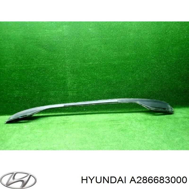 A286683000 Hyundai/Kia 