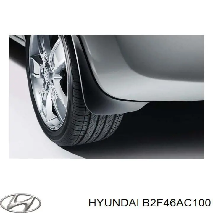  B2F46AC100 Hyundai/Kia