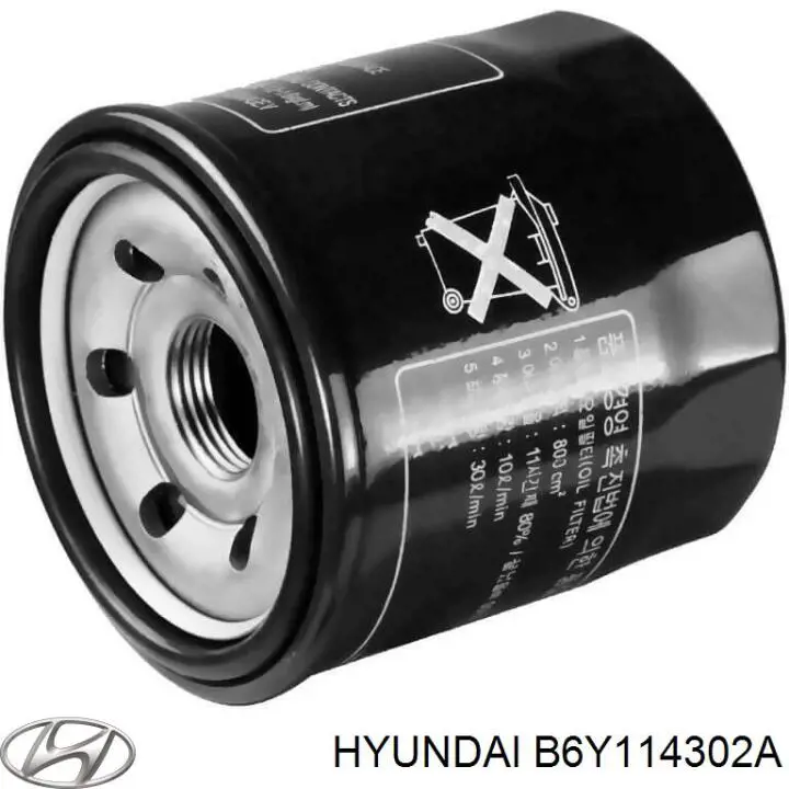  B6Y114302A Hyundai/Kia