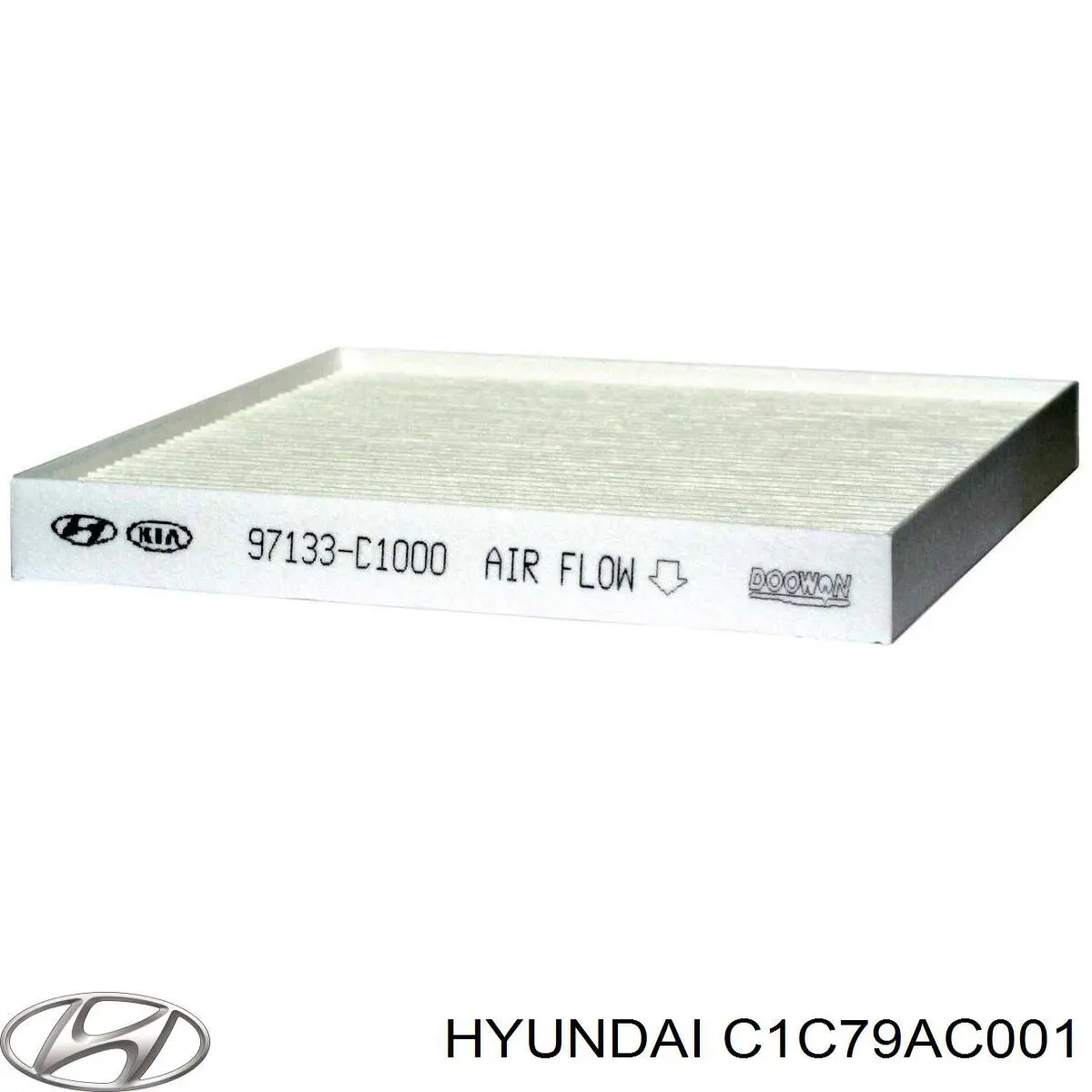 C1C79AC001 Hyundai/Kia 