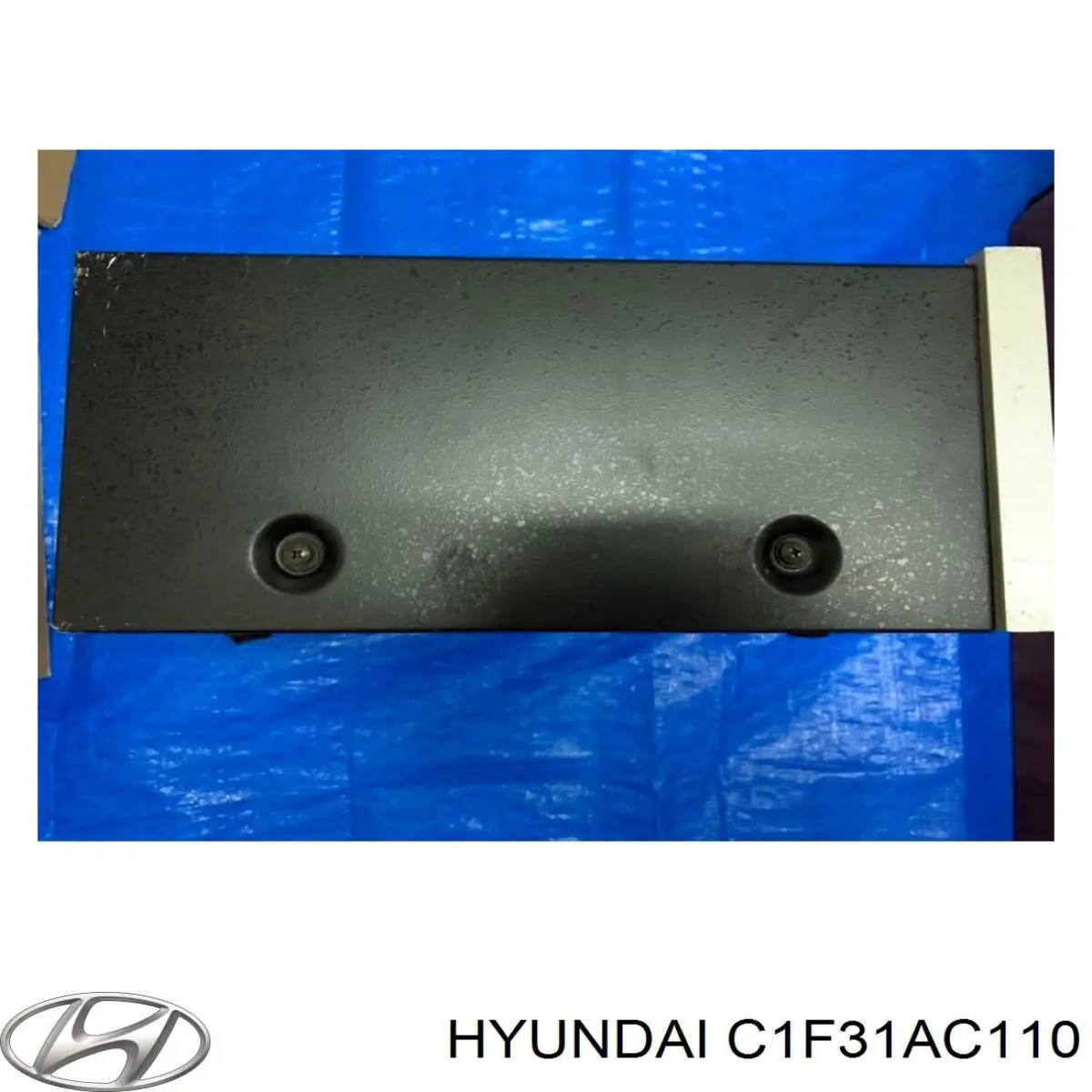 Купить C1F31AC110 Hyundai/Kia 