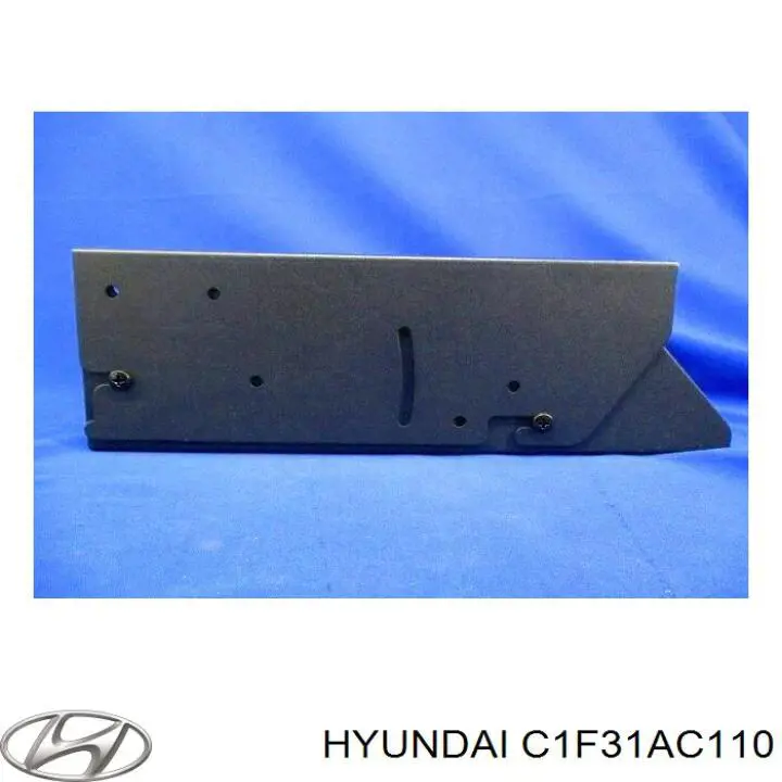 C1F31AC110 Hyundai/Kia 