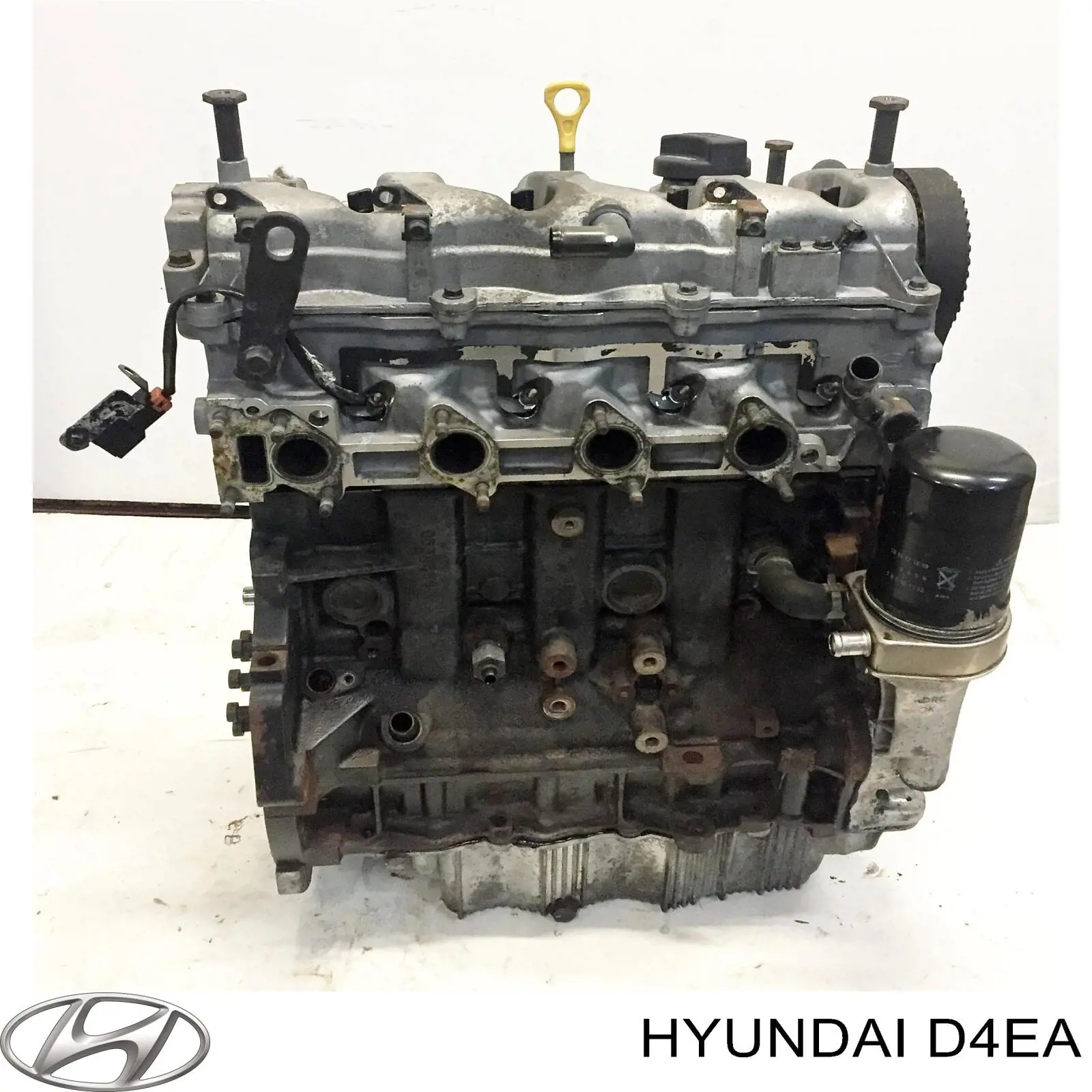 Motor montado KIA Sportage II JE